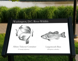 river_wildlife_800_627